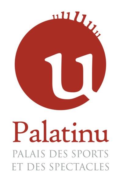 U Palatinu, Palais des sports et des spectacles 1