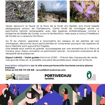 À la découverte du patrimoine naturel de la forêt d'U Spidali