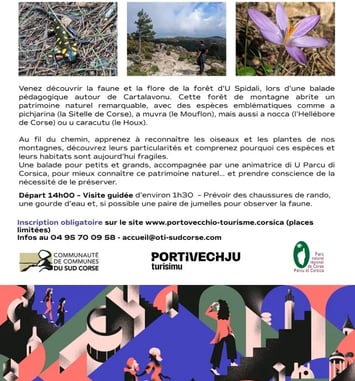 À la découverte du patrimoine naturel de la forêt d'U Spidali