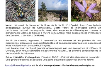 À la découverte du patrimoine naturel de la forêt d'U Spidali