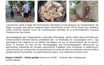 Visite guidée de l'ancienne usine à liège : entre mémoire et préservation