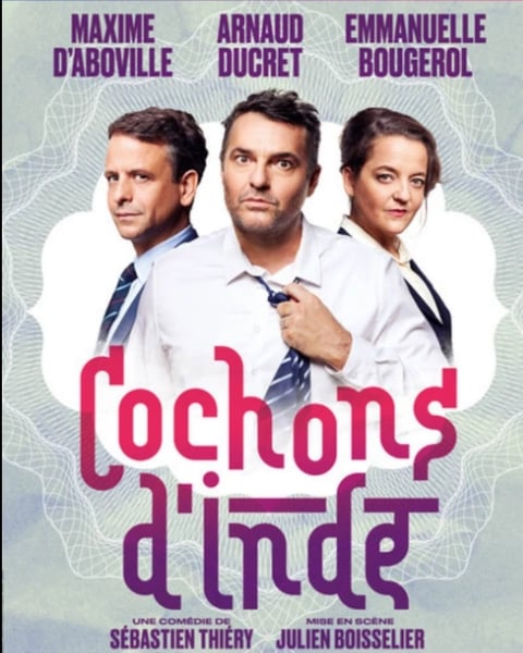 Théâtre - Cochon d'Inde