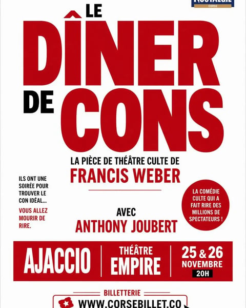 Théâtre - Le dîner de cons