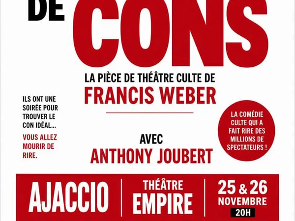 Théâtre - Le dîner de cons